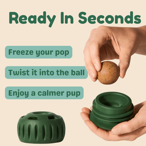 Helpful® PupPop Ball