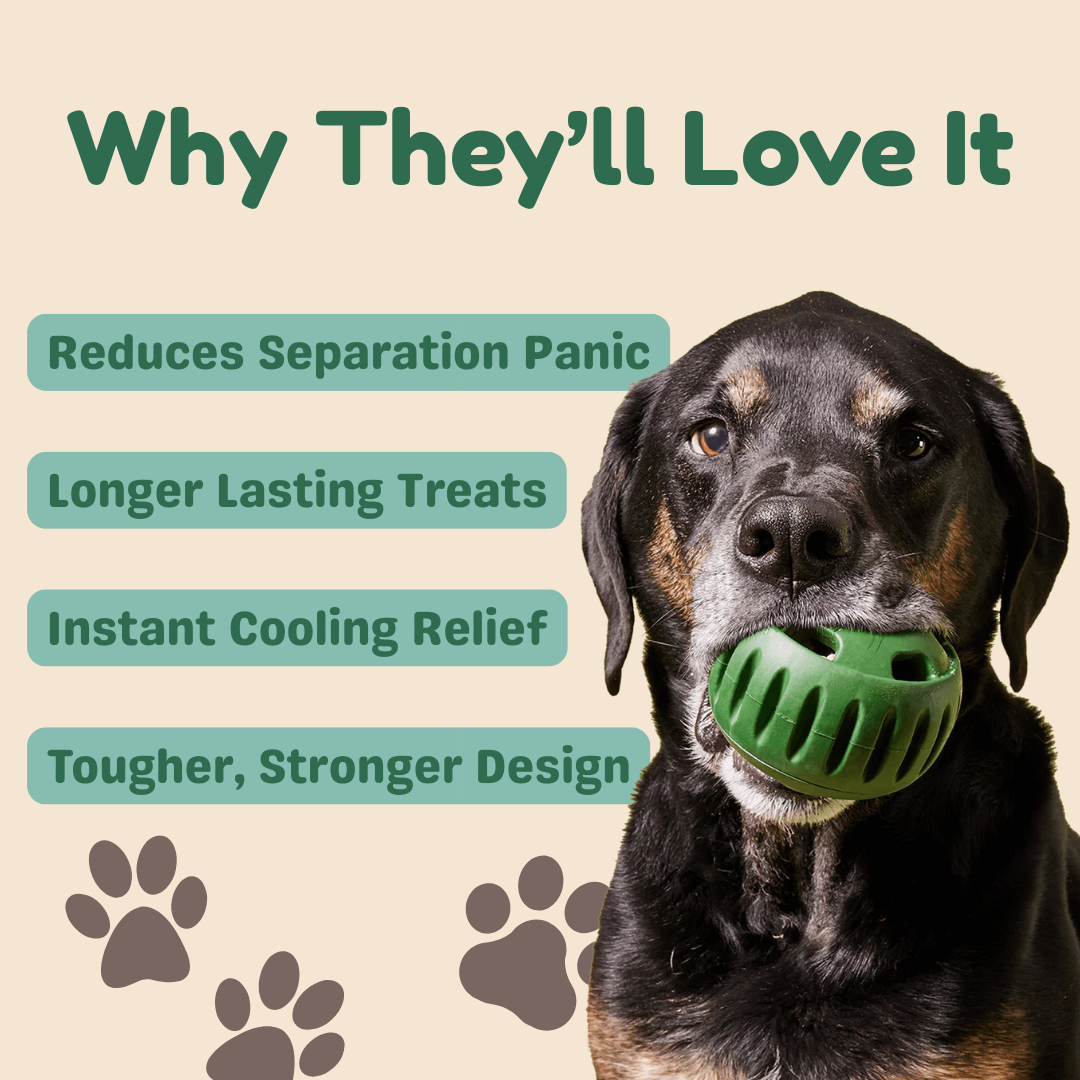 Helpful® PupPop Ball